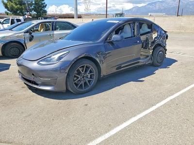 5YJ3E1EB6MF****** 2021 Tesla Model 3