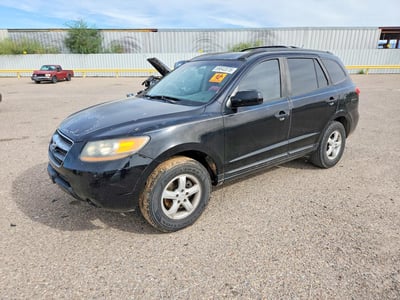 KM8SG13D97U****** 2007 Hyundai Santa Fe