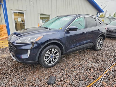 1FMCU9H66MU****** 2021 Ford Escape