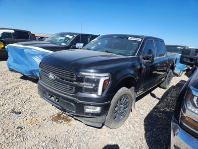 1FTFW7LD1SF****** 2025 Ford F-150