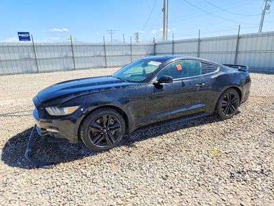 1FA6P8TH8F5****** 2015 Ford Mustang