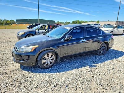 5KBCP367X9B****** 2009 Honda Accord