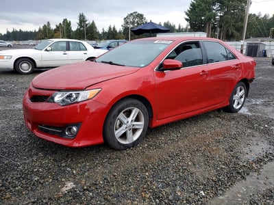 4T1BF1FK1DU****** 2013 Toyota Camry