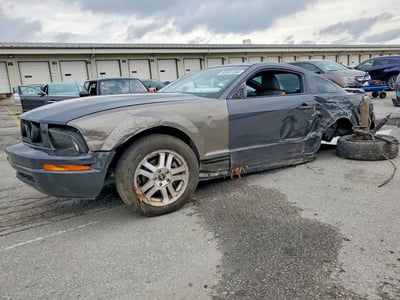 1ZVHT80N975****** 2007 Ford Mustang