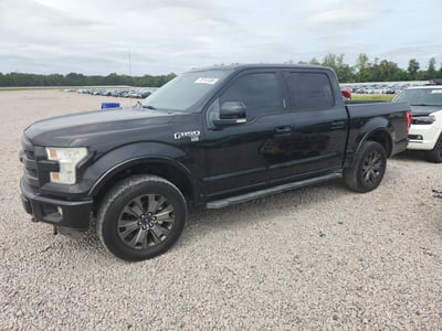 1FTEW1EF0FF****** 2015 Ford F-150
