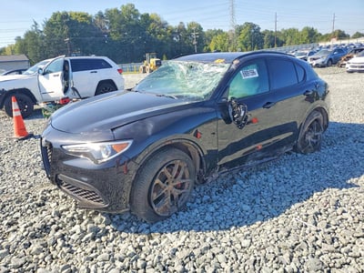 ZASPAKBN2M7****** 2021 Alfa Romeo Stelvio