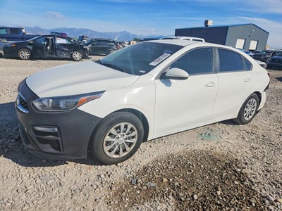 3KPF24AD7KE****** 2019 Kia Forte