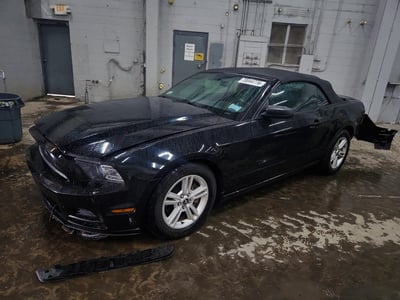 1ZVBP8EM6E5****** 2014 Ford Mustang