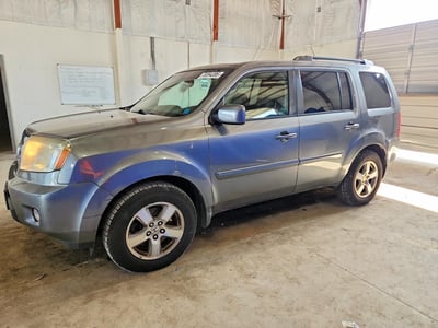 5FNYF48599B****** 2009 Honda Pilot