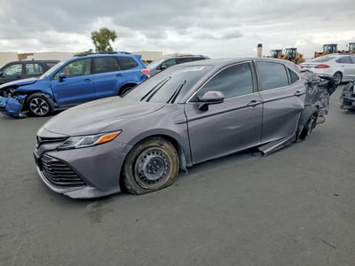 4T1B31HK0KU****** 2019 Toyota Camry Hybrid