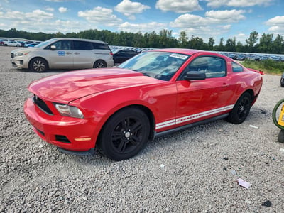 1ZVBP8AN1A5****** 2010 Ford Mustang