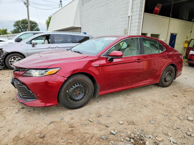 4T1B31HK6KU****** 2019 Toyota Camry Hybrid