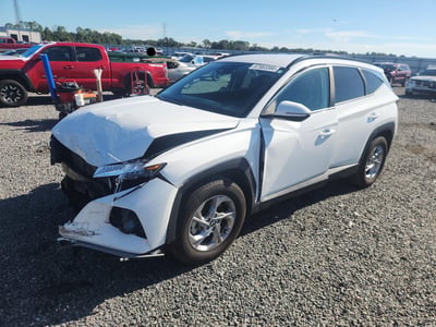 5NMJB3AE7PH****** 2023 Hyundai Tucson