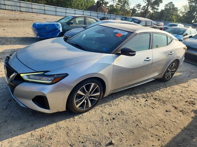 1N4AA6DV6LC****** 2020 Nissan Maxima