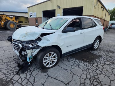 2GNAXSEV2K6****** 2019 Chevrolet Equinox