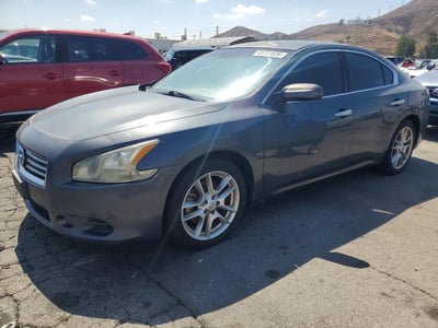 1N4AA5AP2DC****** 2013 Nissan Maxima
