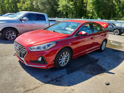 5NPE24AF6KH****** 2019 Hyundai Sonata