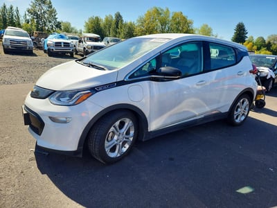 1G1FY6S04K4****** 2019 Chevrolet Bolt