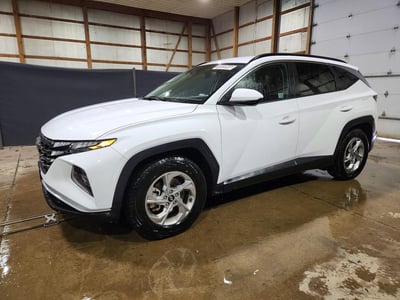 5NMJB3DE3RH****** 2024 Hyundai Tucson