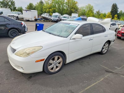 JTHBA30G655****** 2005 Lexus ES