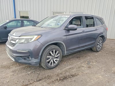 5FNYF6H37KB****** 2019 Honda Pilot
