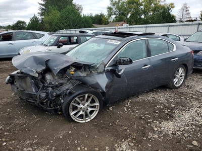 1N4AA5AP5BC****** 2011 Nissan Maxima