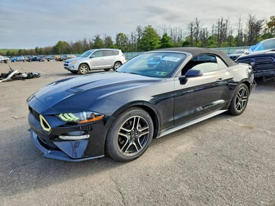 1FATP8UH4K5****** 2019 Ford Mustang
