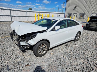 5NPE24AF0GH****** 2016 Hyundai Sonata