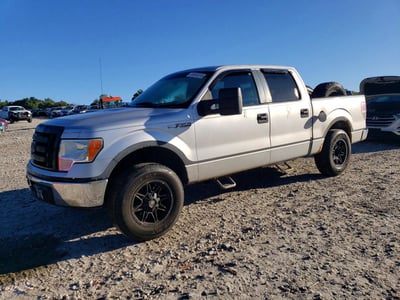 1FTRW12829F****** 2009 Ford F-150