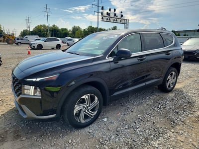 5NMS1DAJ7PH****** 2023 Hyundai Santa Fe