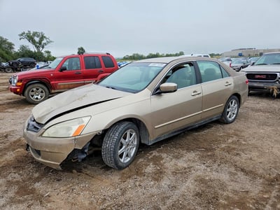 1HGCM56313A****** 2003 Honda Accord