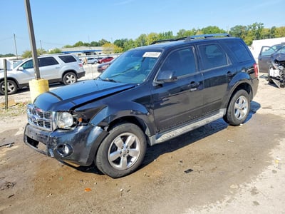 1FMCU0EG4AK****** 2010 Ford Escape