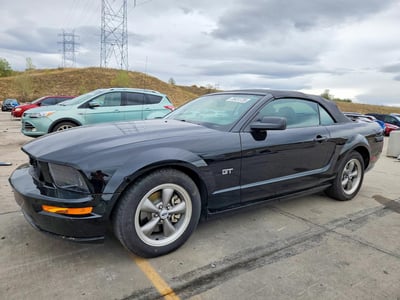 1ZVFT85H265****** 2006 Ford Mustang