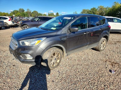 1FMCU9GD4KU****** 2019 Ford Escape