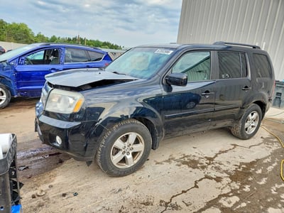 5FNYF4H42BB****** 2011 Honda Pilot