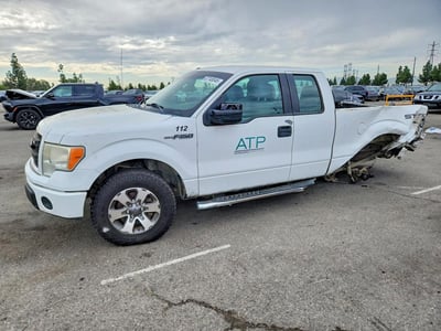 1FTEX1CM7DF****** 2013 Ford F-150
