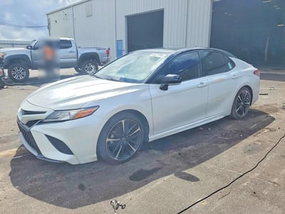 4T1B61HK4KU****** 2019 Toyota Camry