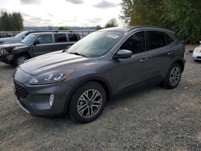 1FMCU0H66MU****** 2021 Ford Escape