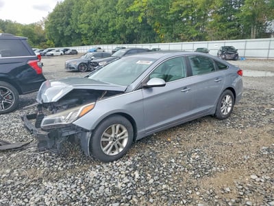 5NPE24AF5GH****** 2016 Hyundai Sonata