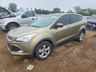 1FMCU0GXXEU****** 2014 Ford Escape