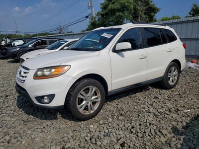 5NMSHDAG3AH****** 2010 Hyundai Santa Fe