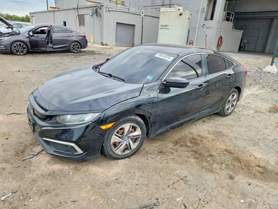 2HGFC2F60KH****** 2019 Honda Civic