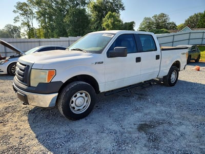 2010 Ford F-150