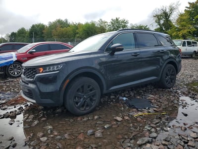 5XYRLDLC6MG****** 2021 Kia Sorento