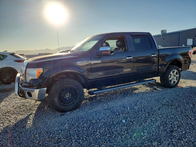1FTFW1EVXAF****** 2010 Ford F-150