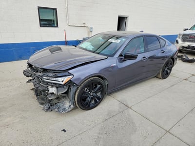 19UUB6F52PA****** 2023 Acura TLX