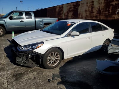 5NPE24AF4KH****** 2019 Hyundai Sonata