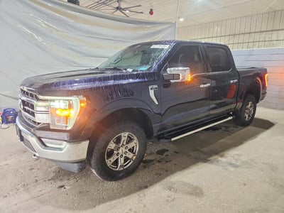 1FTFW1E88PF****** 2023 Ford F-150