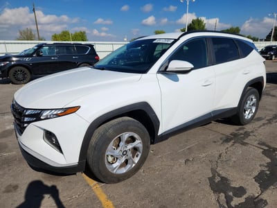 5NMJBCAE5PH****** 2023 Hyundai Tucson