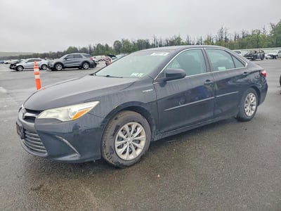 4T1BD1FK4GU****** 2016 Toyota Camry Hybrid